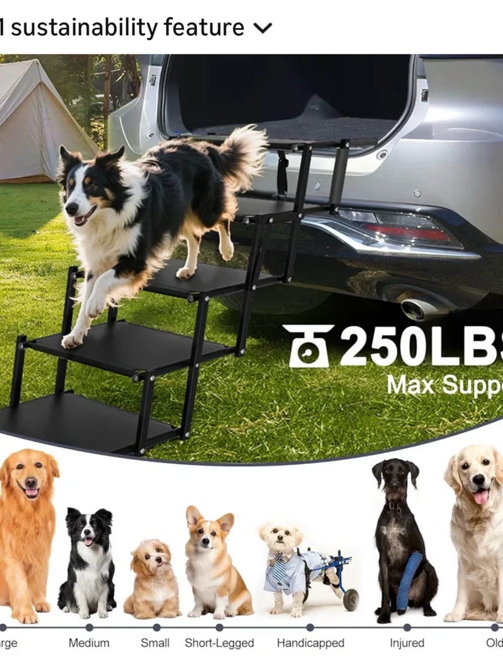 Foldable 5-Step Dog Ramp with Non-Slip Black Steps